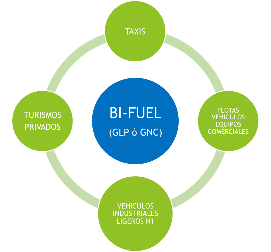 Bi-Fuel